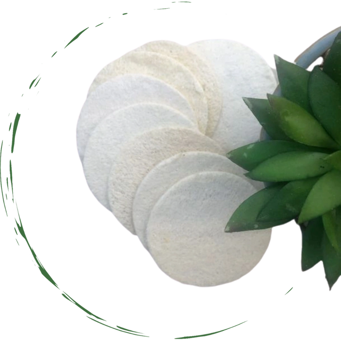 Natural Loofah Sponge Pads
