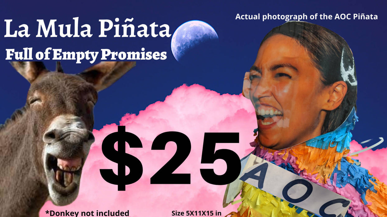 Limited Edition AOC Pinata (FULL Of Empty Promises) (9X4X18 in)