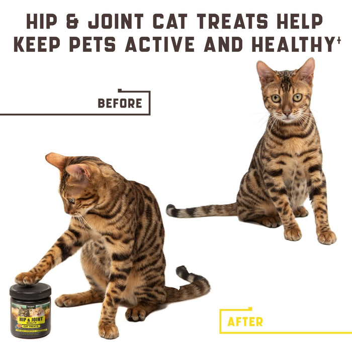 Natural Glucosamine for Cats   Effective Cat Joint Supplement That Helps Improve Flexibility and Mobility   Hip and Joint Support for Cats   American Quality (135 Chews (Pack of 1))