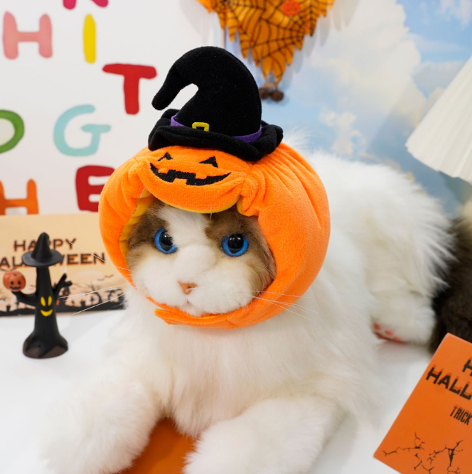 Cat Halloween Pumpkin Costume Dog Halloween Pumpkin Hat Pet Headdress