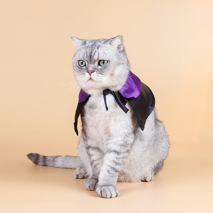 Halloween Pet Costume Cat Wizard Costume