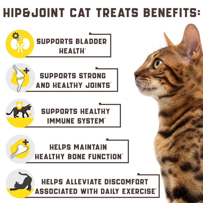 Natural Glucosamine for Cats   Effective Cat Joint Supplement That Helps Improve Flexibility and Mobility   Hip and Joint Support for Cats   American Quality (135 Chews (Pack of 1))