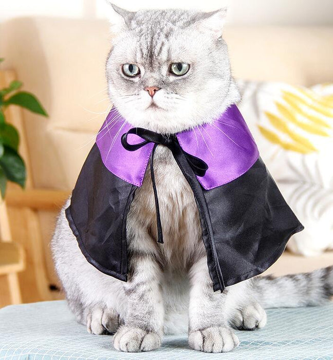 Halloween Pet Costume Cat Wizard Costume