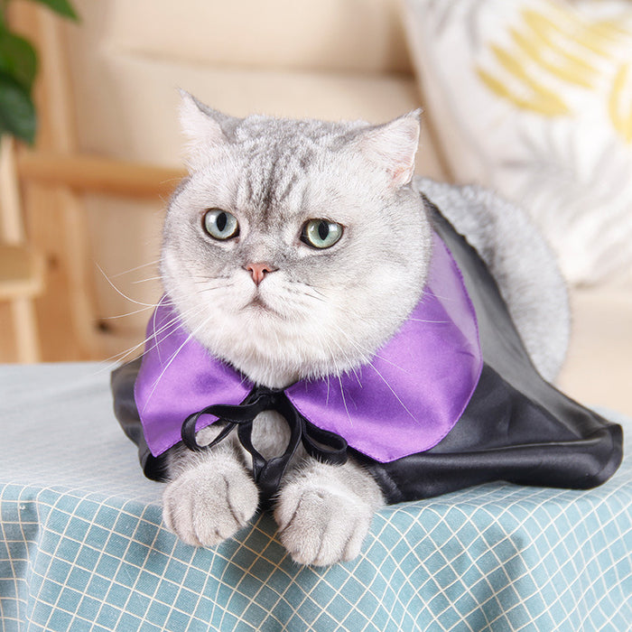 Halloween Pet Costume Cat Wizard Costume