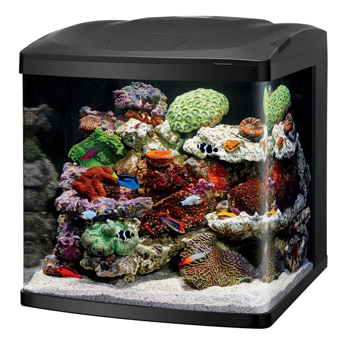 LED BioCube 32 Aquarium Kit