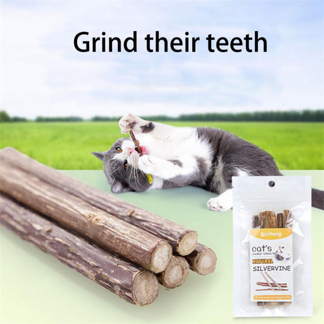 Pet Cat Chew Stick Clean Kitty Teeth Chewing 5pcs