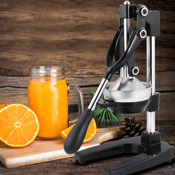 Manual Household Fruit Juicer