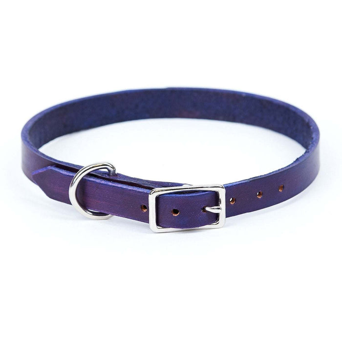 Medium Leather Dog Collar